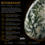 Boomagaat 8mm